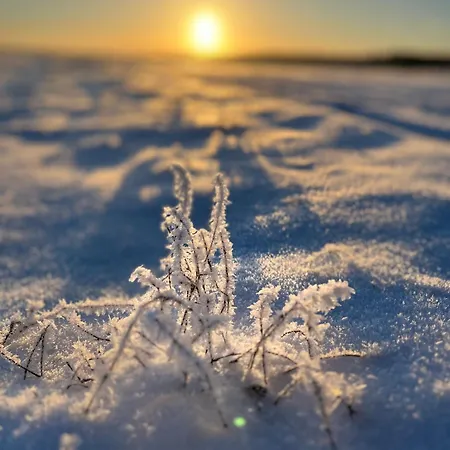 Апартаменты Vor Den Toren Berlins Heidesee