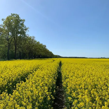 Vor Den Toren Berlins